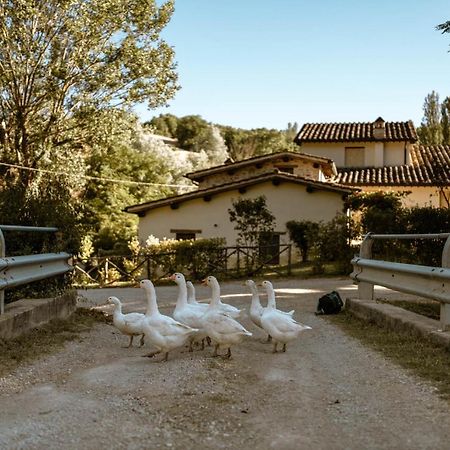 Agriturismo Le Radici Umbertide Exterior photo